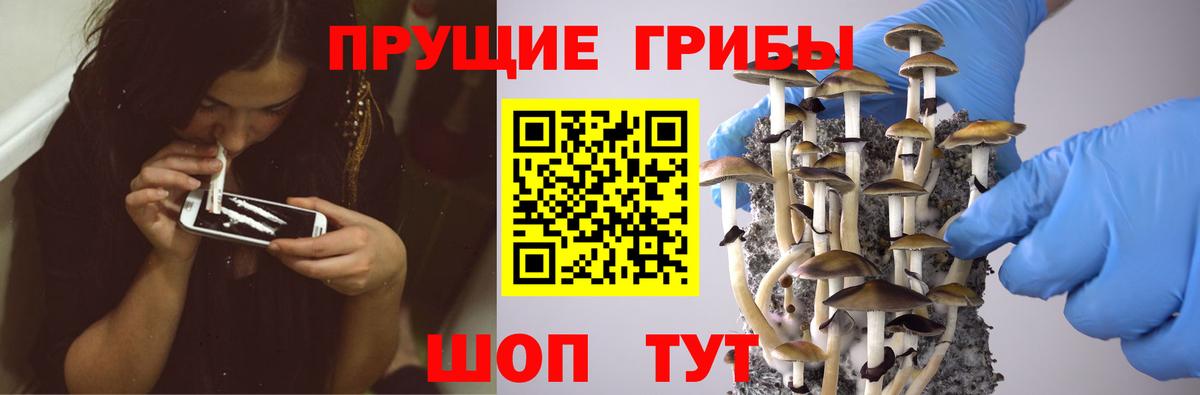 Чита  Галлюциногенные грибы Magic Shrooms  Вход с VPN 